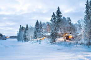 Hotel Vartiosaari The Aurora Island, Rovaniemi
